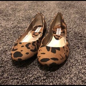 Leopard print Steve Madden flats - NWOT